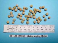 Click for 4 image(s) for this accession. Image